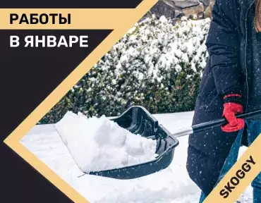 Работы на даче в январе